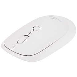 Avis Bluestork Office 35 (Blanc)
