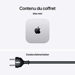 Apple Mac Mini M5 Pro 24 Go/512 Go (MHQN4ZD/A) pas cher