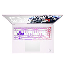 Acheter MSI Crosshair A16 HX MLG Edition E8WGK-099FRY