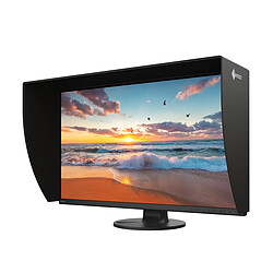 Ecran PC