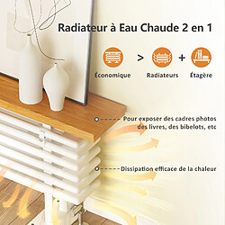 EMKE Radiateur eau chaude horizontal avec étagère H.48 × L.120 × I.18 cm 808 W design Chauffage central blanc