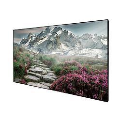 Celexon Ecran cadre cinéma SlimFrame 243 x 136 cm, 110" - SOUNDVISION