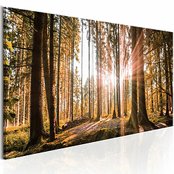 Paris Prix Tableau Imprimé Small Natural Wonders 40 x 120 cm 