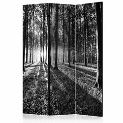 Paris Prix Paravent 3 Volets Grey Wilderness 135x172cm