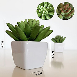 Wellhome 12 Cactus Marianae Artificiels avec Pot en céramique