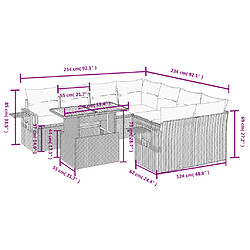 Avis vidaXL Salon de jardin avec coussins 9 pcs beige résine tressée