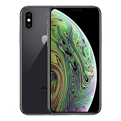 Apple iPhone XS 256 Go Gris 