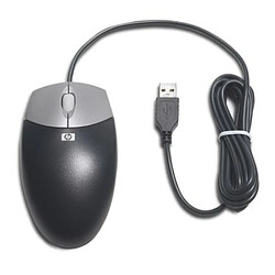 HP DC172B souris USB Optique Ambidextre