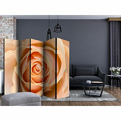 Paris Prix Paravent 5 Volets Peach Colored Rose 172x225cm