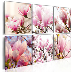 Decoshop26 Tableau toile de décoration murale impression premium en 6 parties sur châssis en bois motif Magnolias dans le Sud 60x40 cm 11_0016277 