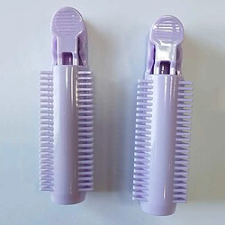 Avis Hair Root Curler Roller Clip Salon De Coiffure Coiffure DIY Violet