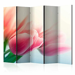 Paris Prix Paravent 5 Volets Spring & Tulips 172x225cm