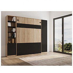 Inside 75 Composition lit escamotable style industriel KEY bi-ton chêne noir mat 160*200 cm rangement L : 275 cm