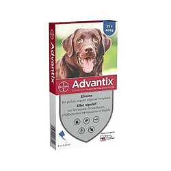 ADVANTIX 4 pipettes antiparasitaires - Pour grand chien de plus de 25kg 