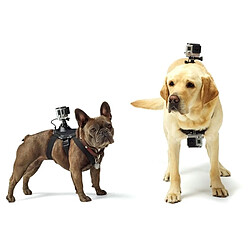 Wewoo Pour GoPro HERO6 / 43225 noir Session / 4 Session / 43163 + / 3/2/3, Xiaomi et autres caméras d'action Hound Chien Fetch Harnais réglable sangle poitrine ACH-426392