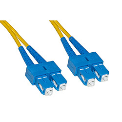 Link lkscsc902 Câble Fibre Optique 