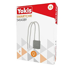 smart compensateur - radio power - yokis smartchr 