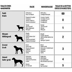 Vêtement pour chien