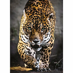 Ludendo High quality 1000 pièces - Walk of the Jaguar