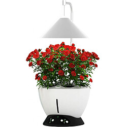 Jardinice Jardinière avec lampe led intégrée Le potager avec engrais liquide + engrais 1000 ml.