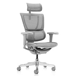 Chaise de bureau / fauteuil de direction ERGOHUMAN SLIM ULTRA G GEN2 tissu résille gris hjh OFFICE