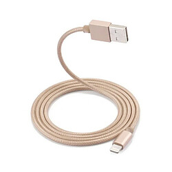 Little Boutik Cable Metal Nylon Renforce Chargeur USB Couleur Or pour IPhone Longueur 2m Tréssé Compatible IPhone 5s 6 6S 7 8 X Xr Little Bou