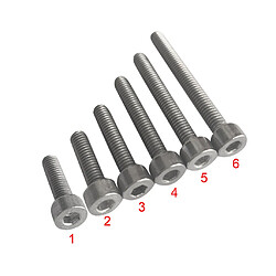 10pcs M6 * Tête Conique Boulons à Douille 15 Titane Cap GR1 Ta1 Hexagonale Vis