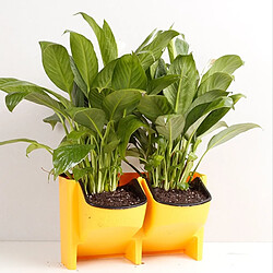 Wewoo Pot de fleur jaune Mur végétal vertical intérieur et extérieur balcon Pots à fleurs muraux Combinaison créative de à en plastique avec amovible