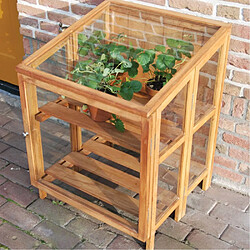 Esschert Design Mini serre de jardin en bois dur 60 cm.