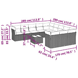 Acheter vidaXL Salon de jardin 12 pcs avec coussins noir résine tressée