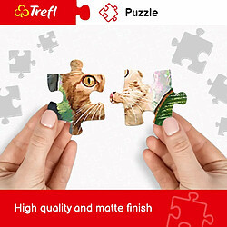 Trefl-45006 3000 Pièces Qualité Premium pour Adultes et Enfants à partir de 15 Ans Puzzle, 45006, Coucher de Soleil à Bangkok pas cher