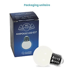 SkyLantern Lot de 10 Ampoules Guirlande Guinguette Led E27 Blanc Chaud pas cher