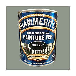 HAMMERITE Peinture Fer Direct sur Rouille Gris Nuage Brillant