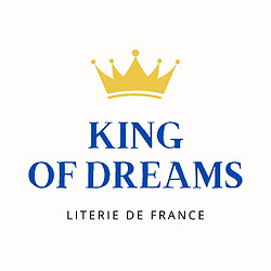 Acheter King Of Dreams Lot de 2 Matelas 90x200x18cm+2 Oreillers Visco-une Face Soutien Souple et une Face Soutien Ferme-Tissu a l'Aloe Vera