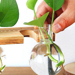 Avis 2x Vase En Verre Hydroponique En Forme De Bulbe à Fleur Dans Un Support En Bois Support Pour Plante L / S