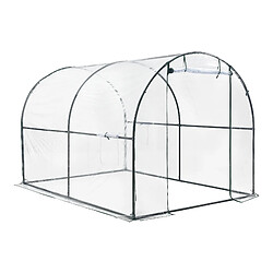 Serre de jardin tunnel Grünwald en acier et PVC 200 x 300 x 190 cm [en.casa]