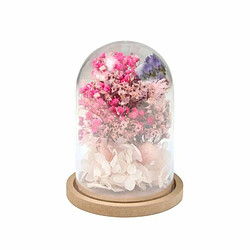 Paris Prix Cloche Design Harmonie 11cm Transparent