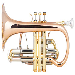 Lechgold Supreme CR-18L cornet vernis en Sib