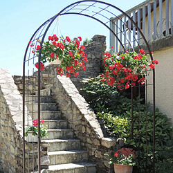 Cemonjardin Arche de jardin treillage en fer grand modèle - Louis Moulin 