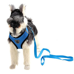 Acheter Gilet Arrière En Maille Pour Chien Corde De Traction Respirante Et Douce Pour Animaux De Compagnie Bleu M