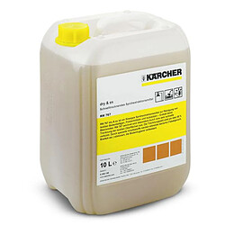 Karcher - Détergent pour Injecteur liquide Dry & Ex - RM767