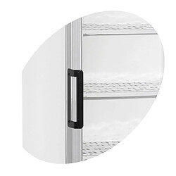 Avis Congélateur Vertical de Vitrine UFFS370GCP - Tefcold