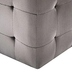 Acheter vidaXL 2 pcs Tables de chevet Gris 30x30x30 cm Tissu velours