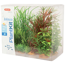 Avis Tetra Kit de 6 plantes Plantkit Jalaya.