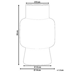 Avis Beliani Vase à fleurs MEGALO Verre 26 cm Gris