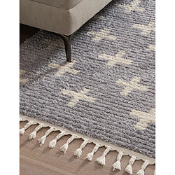 Avis Hadorn Tapis shaggy 245x160 gris Frauenfeld Rood