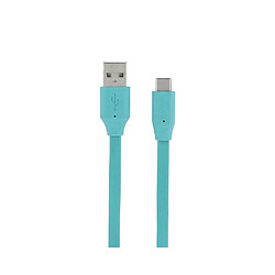 MOOOV Câble plat USB Type C 1 m menthe 