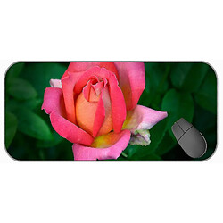 Universal (750x300x3) Pad de souris de jeu étendu grande taille, belle nature de souris rose avec bords cousus