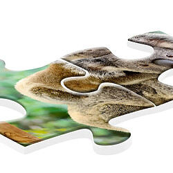 Acheter Ravensburger Puzzle Animaux 200 pièces XXL Premium La Famille Koala Multicolore