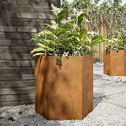 vidaXL Jardinières 2 pcs hexagone 46x40x45 cm acier corten 